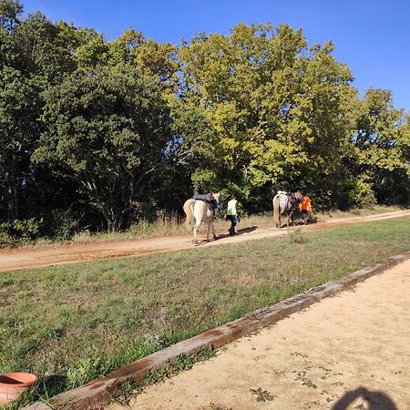 Domaine De La Blaque - B&B Varages Εξωτερικό φωτογραφία