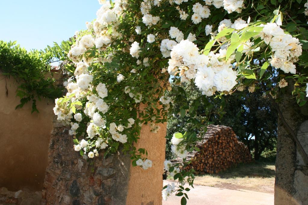 Domaine De La Blaque - B&B Varages Εξωτερικό φωτογραφία